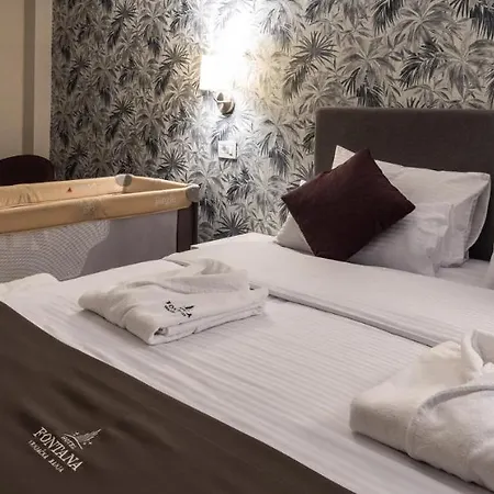 Fontana 4* Vrnjačka Banja